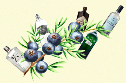 Several spirits bottles in an illustration of blueberries on a branch